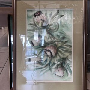 29. Protea portrait